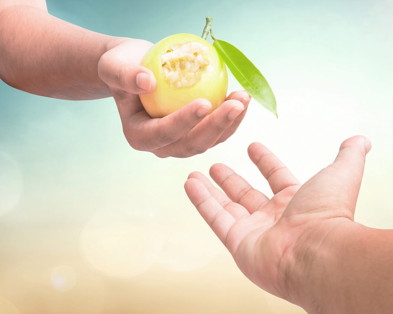 ПРОИСХОЖДЕНИЕ ЧЕЛОВЕЧЕСТВА