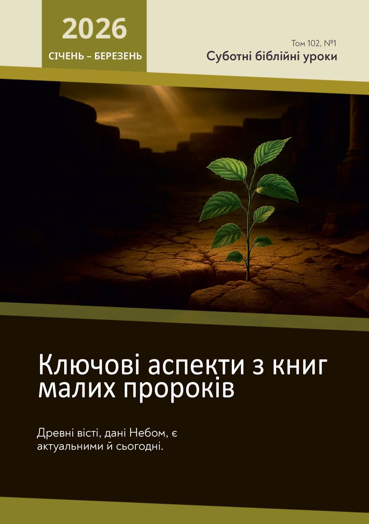 Ключові аспекти із книг малих пророків