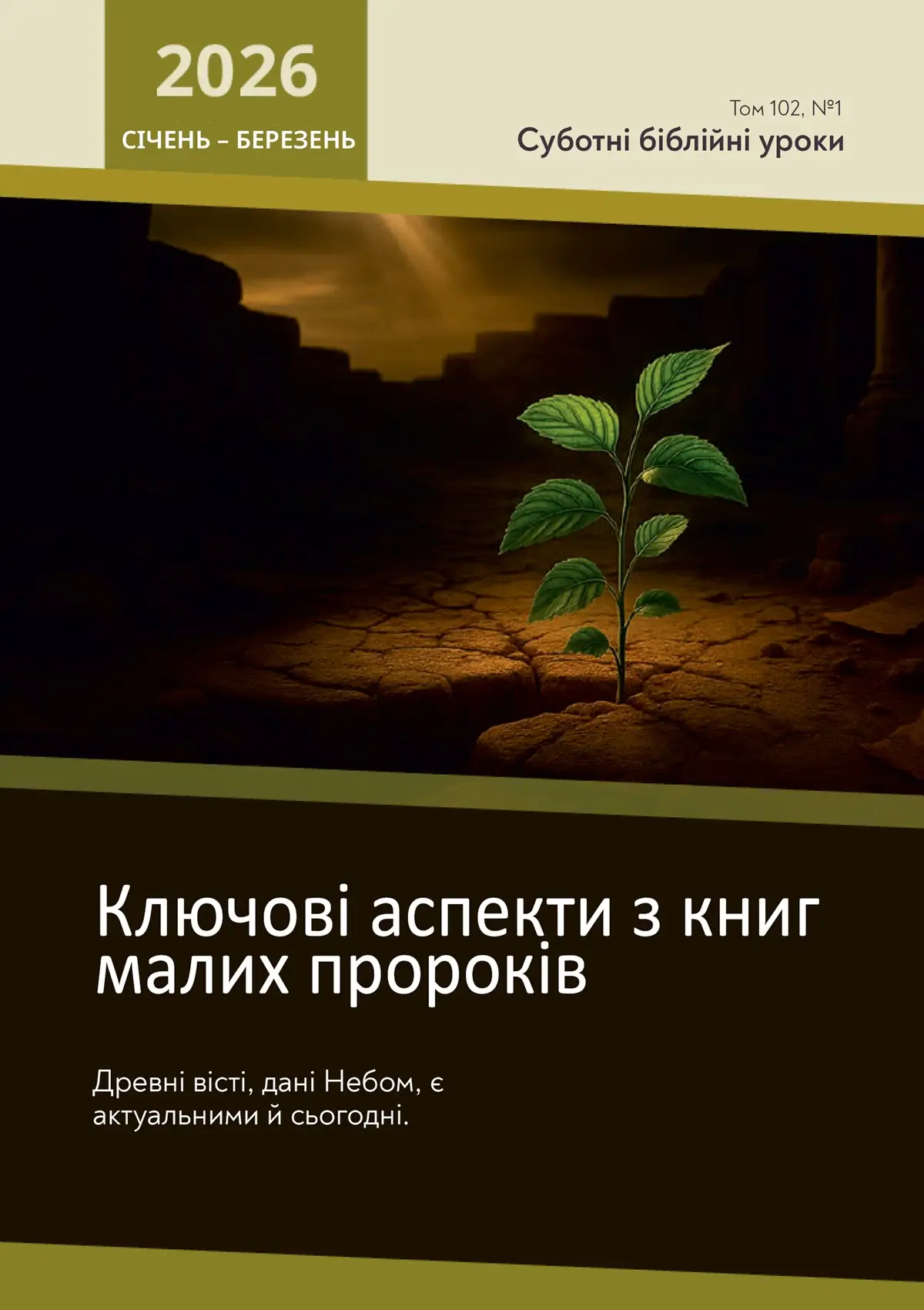 Ключові аспекти із книг малих пророків