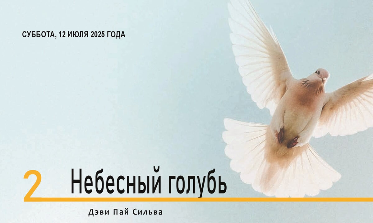 Небесный голубь